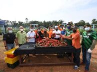 Combating Agricultural Waste and Boosting Farmer Income: Sustainable Smart Farming in Permatang Pauh